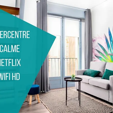 Le Duplex Carmes Apartman *